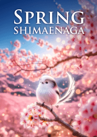 運気の上がる光と桜のシマエナガ