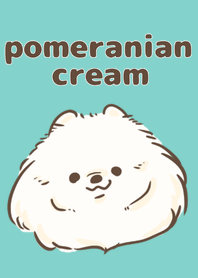 白色的博美犬