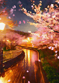 Beautiful night cherry blossoms#1914