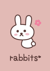 กระต่าย*สีชมพู*ดอกไม้