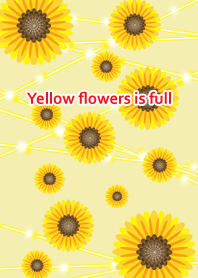 노란색 꽃이 가득있어