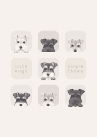 DOGS - シュナウザー - ベージュ