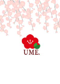 UME.