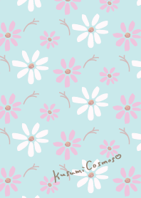 kusumi cosmos 3