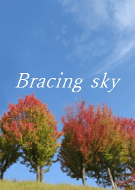 Bracing sky (Romantic sky series 8)