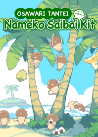 NAMEKO ~ Tropical holiday ~