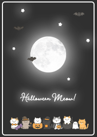 black Halloween Kitty Night 03_2