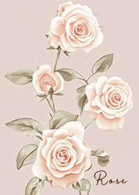pinkbrown chic rose 05_2