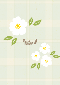 Satisfied White Flower Check2 from Japan