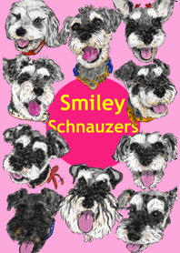 Smiley Schnauzers - 2