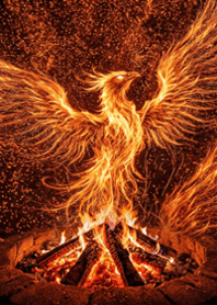 Eternal Life Rising The Phoenix of Flame