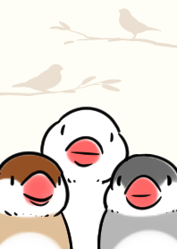 小鳥の着せ替え