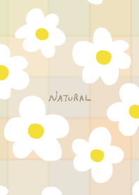 white flowers stylish from Japan