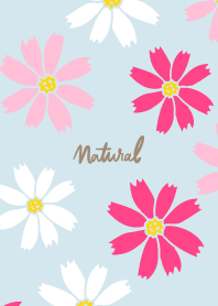 Cosmos darkish Blue2 from Japan