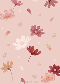 秋を告げるコスモスブーケ