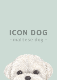 ICON DOG - Maltese dog - PASTEL GR/03