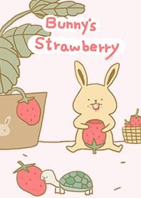 兔子的草莓