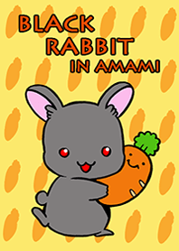 black rabbit in amami