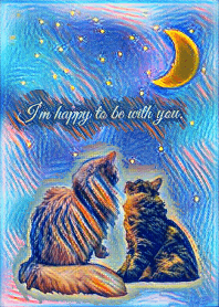 猫と星空
