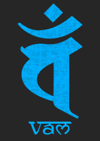 BONJI [vaM] BLACK BLUE (0156