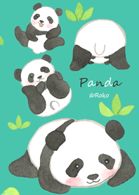 the Lovely panda