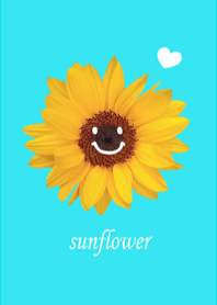Happy happy sunflower7.
