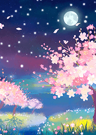 Beautiful night cherry blossoms#797