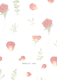 Simple botanical rose - white-