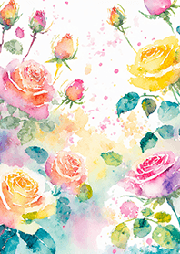 Beautiful rose flower(R4454)