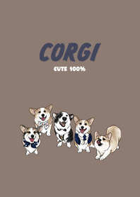 corgicorgi4 - brown