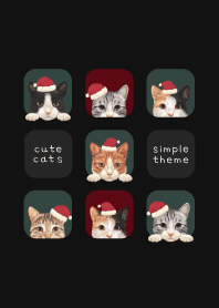 CATS - Mixed breed cat 01 - CHRISTMAS