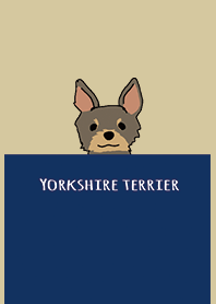 Beige Navy : Yorkshire terrier