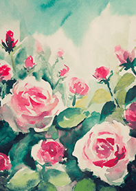 Beautiful rose flower(R4406)