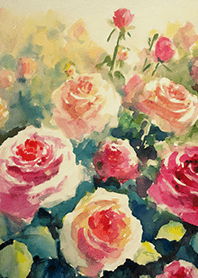 Beautiful rose flower(R4828)