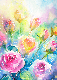 Beautiful rose flower(R2301)