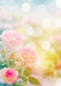 Beautiful rose flower(R1645)