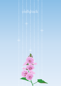 6月の誕生花＊タチアオイ