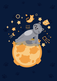 The Cat and The Moon