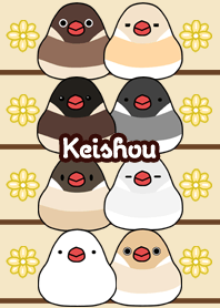 Keishou Round and cute Java sparrow
