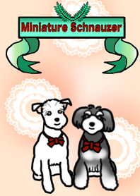 ミニシュナのハッピーちゃんシルクちゃん