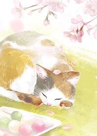 春貓