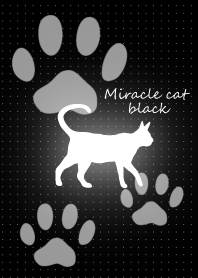 Miracle cat black