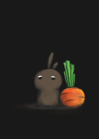 rabbit staring - silence