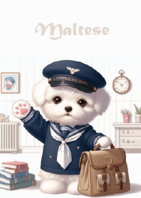 Maltese-Toby puppy in navy uniform1
