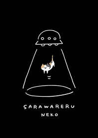 さらわれるネコ(黒)