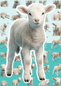 baby sheep Muted Blue