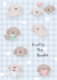 blue Fluffy Toy Poodle 05_2