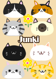 Junki Scandinavian cute cat2