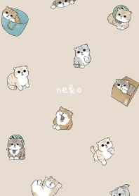 neko combo5 / almond
