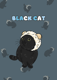 blackcat5 - dark steel blue